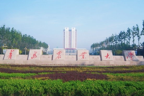 农业大学